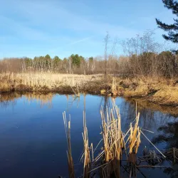 Laurier Woods Conservation Area - North Bay