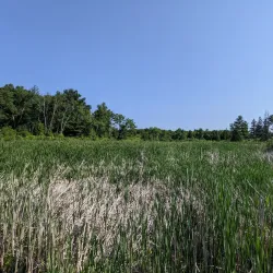 Laurier Woods Conservation Area - North Bay