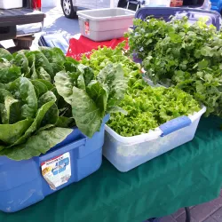 North Bay Farmers Market - North Bay