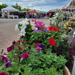 North Bay Farmers Market - North Bay