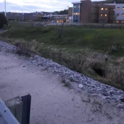 North Bay Regional Health Centre Arboretum - North Bay