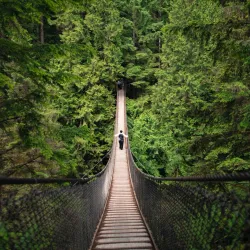 Lynn Canyon Park and Suspension Bridge - North Vancouver