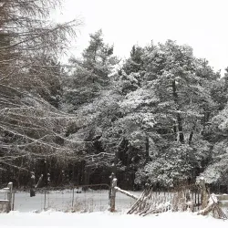 Centre Dufferin Recreation Complex - Orangeville