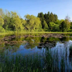 Credit Valley Conservation Area - Orangeville