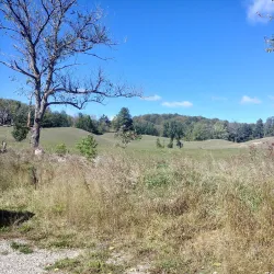 Hockley Valley Provincial Nature Reserve - Orangeville