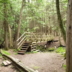 Hockley Valley Provincial Nature Reserve - Orangeville