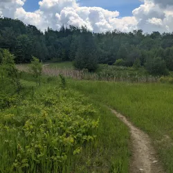 Hockley Valley Provincial Nature Reserve - Orangeville
