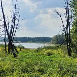 Island Lake Conservation Area - Orangeville