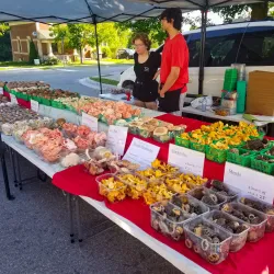 Orangeville Farmers' Market - Orangeville