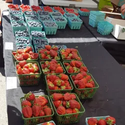 Orangeville Farmers' Market - Orangeville