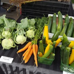 Orangeville Farmers' Market - Orangeville
