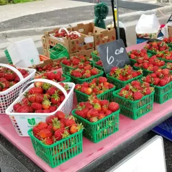 Orangeville Farmers' Market - Orangeville