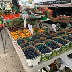 Orillia Farmers' Market - Orillia