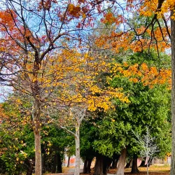 Twin Lakes Park - Orillia