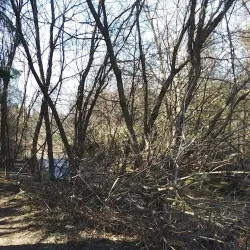 Harmony Creek Trail - Oshawa