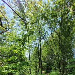 Harmony Creek Trail - Oshawa