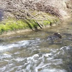 Harmony Creek Trail - Oshawa