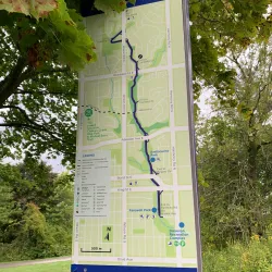 Harmony Creek Trail - Oshawa