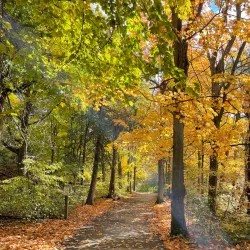 Harmony Creek Trail - Oshawa