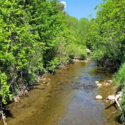 Harmony Creek Trail - Oshawa