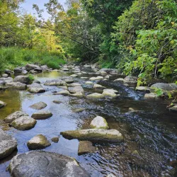 Heber Down Conservation Area - Oshawa