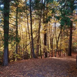 Heber Down Conservation Area - Oshawa