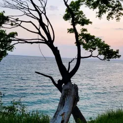 Lakeview Park - Oshawa