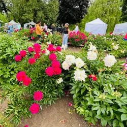 Oshawa Valley Botanical Gardens - Oshawa
