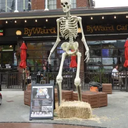 ByWard Market - Ottawa