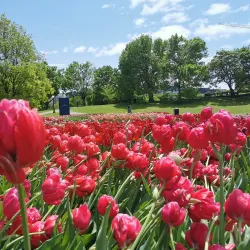 Major's Hill Park - Ottawa