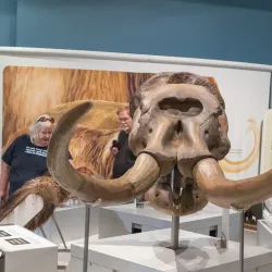 Grey Roots Museum and Archives - Owen Sound