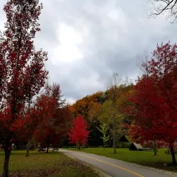 Harrison Park - Owen Sound