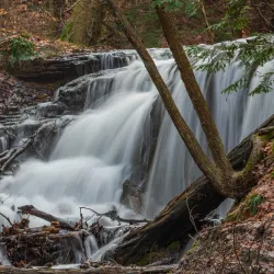Harrison Park - Owen Sound