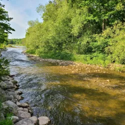 Harrison Park - Owen Sound