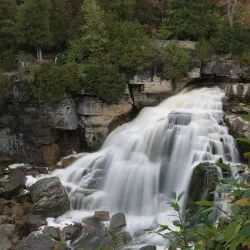 Harrison Park - Owen Sound