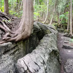 Inglis Falls - Owen Sound