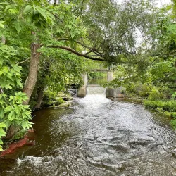 Inglis Falls - Owen Sound