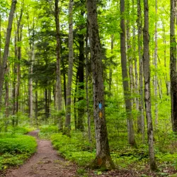 Inglis Falls - Owen Sound