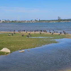 Kelso Beach - Owen Sound