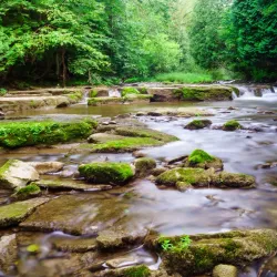 Owen Sound Waterfront Trail - Owen Sound