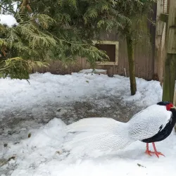 Sydenham River Canoe and Kayak Trail - Owen Sound