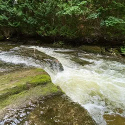 Sydenham River Canoe and Kayak Trail - Owen Sound