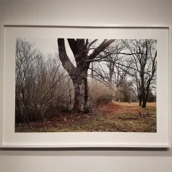 Tom Thomson Art Gallery - Owen Sound