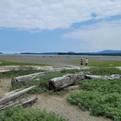 Rathtrevor Beach Provincial Park - Parksville