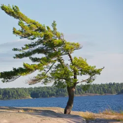 Killbear Provincial Park - Parry Sound