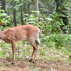 Killbear Provincial Park - Parry Sound