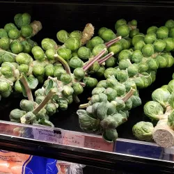 Parry Sound Farmers' Market - Parry Sound