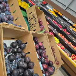 Parry Sound Farmers' Market - Parry Sound