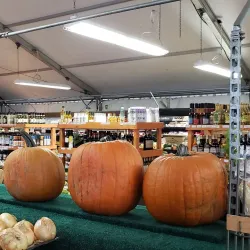 Parry Sound Farmers' Market - Parry Sound