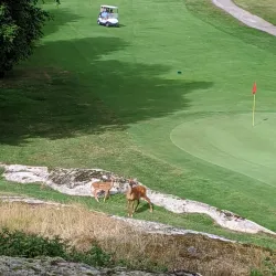 Parry Sound Golf & Country Club - Parry Sound